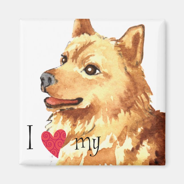 I Love my Finnish Spitz Magnet (Front)