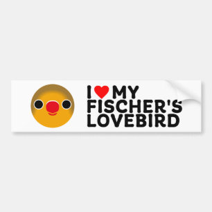 I LOVE MY FISCHER'S LOVEBIRD BUMPER STICKER