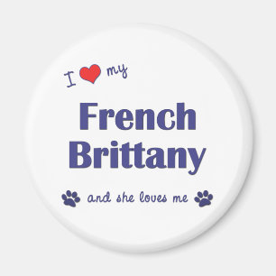 I Love My French Brittany (Female Dog) Magnet