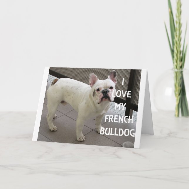I Love My French Bulldog Card (Front)