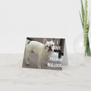 I Love My French Bulldog Holiday Card
