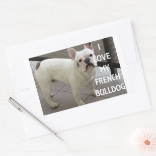 I Love My French Bulldog Rectangular Sticker
