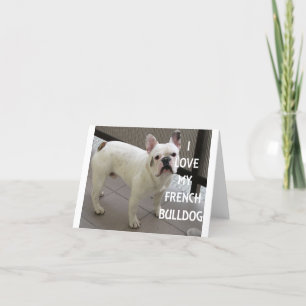 I Love My French Bulldog Thank You Card