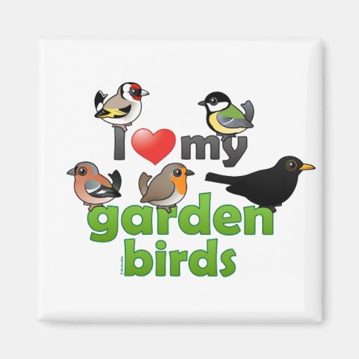 Image of I Love My Garden Birds Magnet