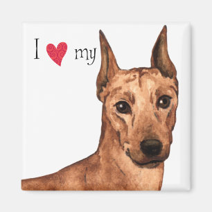 I Love my German Pinscher Magnet