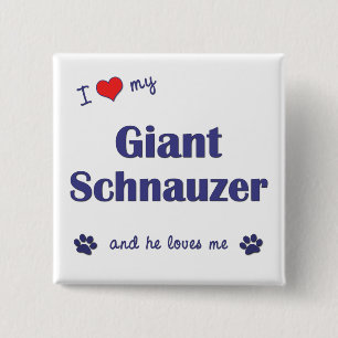 I Love My Giant Schnauzer (Male Dog) 15 Cm Square Badge