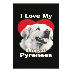 I love My Great Pyrenees Dog Photo Print