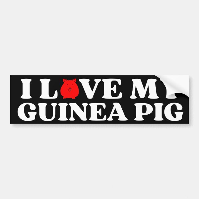 i love my GUINEA PIG  Bumper Sticker (Front)