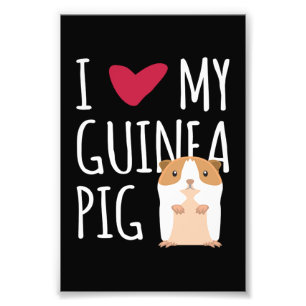 I Love My Guinea Pig Guinea Pig Photo Print