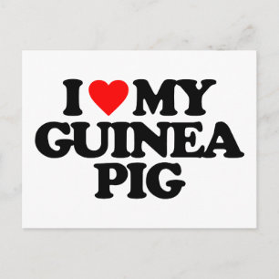 I LOVE MY GUINEA PIG POSTCARD