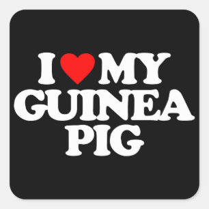 I LOVE MY GUINEA PIG SQUARE STICKER