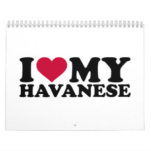 I love my Havanese Calendar