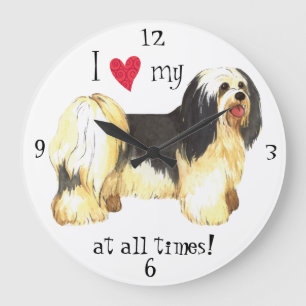 I Love my Havanese Large Clock