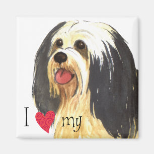 I Love my Havanese Magnet
