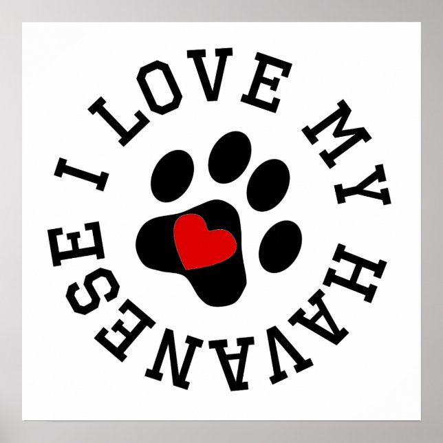 I Love My Havanese Poster (Front)