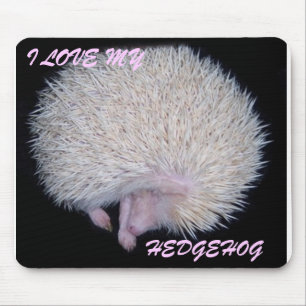 I LOVE MY HEDGEHOG MOUSE PAD