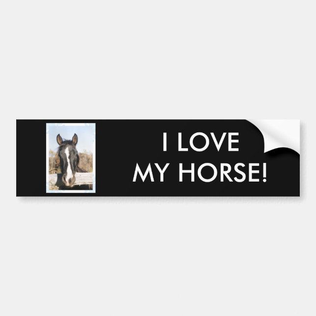 I LOVE MY HORSE! BUMPER STICKER (Front)