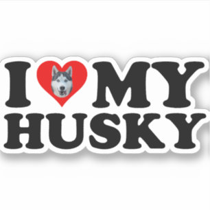 I Love My Husky