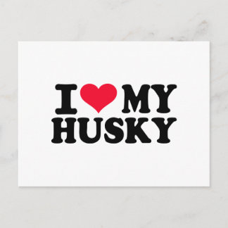 I love my Husky Postcard