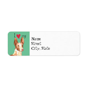 I Love my Ibizan Hound
