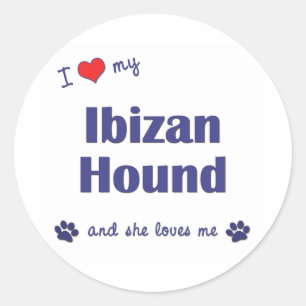 I Love My Ibizan Hound (Female Dog) Classic Round Sticker