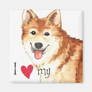 I Love my Icelandic Sheepdog Magnet