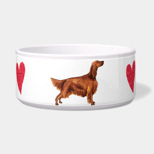 I Love my Irish Setter