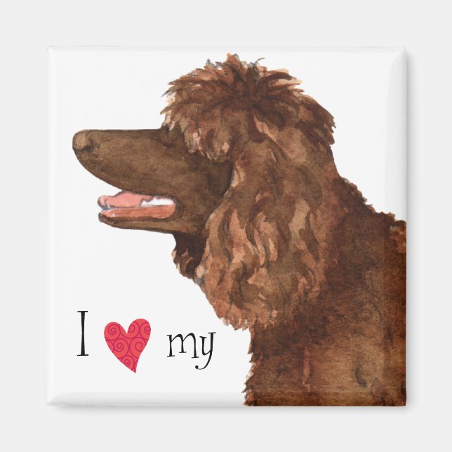 I Love my Irish Water Spaniel Magnet (Front)