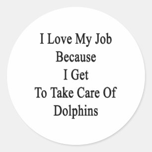 I Love My Job Because I Get To Take Care Of Dolphi Classic Round Sticker