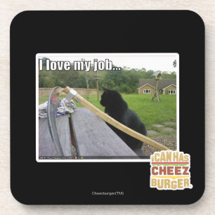 I love my job coaster