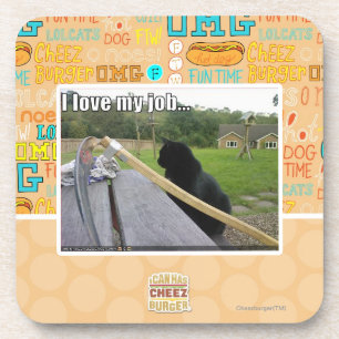 I love my job coaster