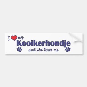 I Love My Kooikerhondje (Female Dog) Bumper Sticker