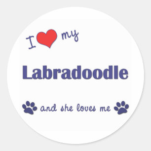 I Love My Labradoodle (Female Dog) Classic Round Sticker