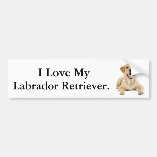 I Love My Labrador Retriever #2 Bumper Sticker (Front)