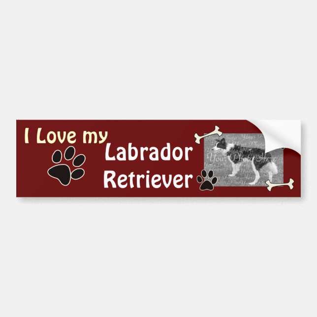 I love my Labrador Retriever Bumper Sticker (Front)