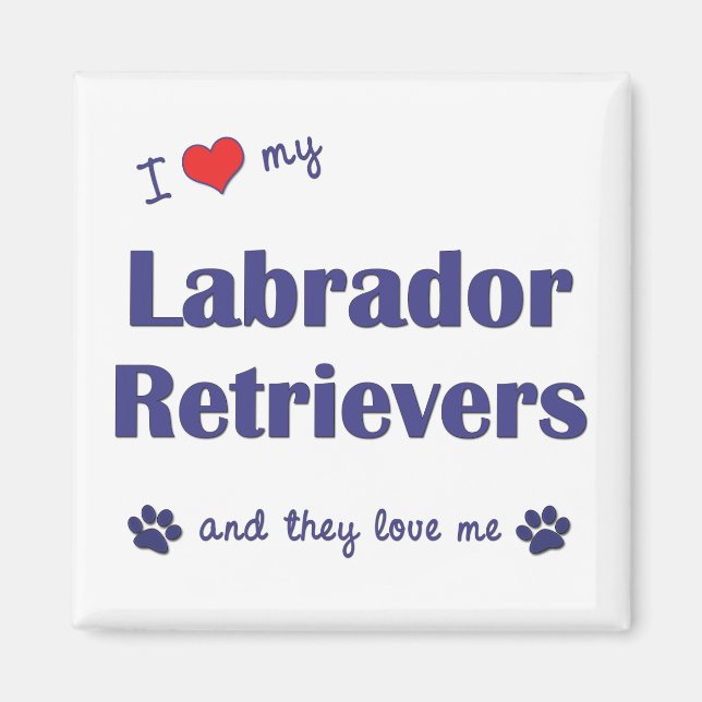 I Love My Labrador Retrievers (Multiple Dogs) Magnet (Front)