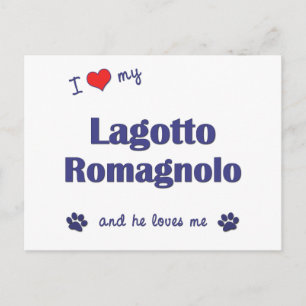 I Love My Lagotto Romagnolo (Male Dog) Postcard