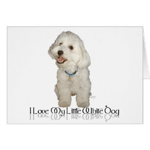 I Love My Little White Dog - Havanese