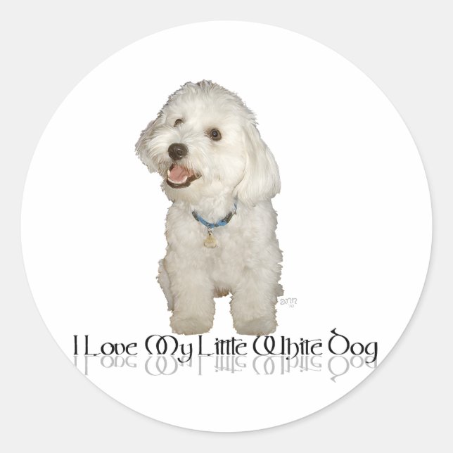 I Love My Little White Dog - Havanese Classic Round Sticker (Front)