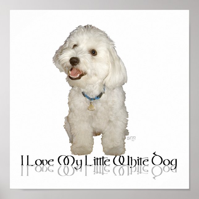 I Love My Little White Dog - Havanese Poster (Front)