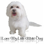 I Love My Little White Dog - Havanese Standing Photo Sculpture<br><div class="desc">Each of the designs is available on all of the Zazzle products.  Please scroll to Transfer This Design on this product's page and choose your favorite product.  You may customize your choice with our Text Tool,  as well.  There are many marvelous Fonts to choose from.  Thank you!</div>
