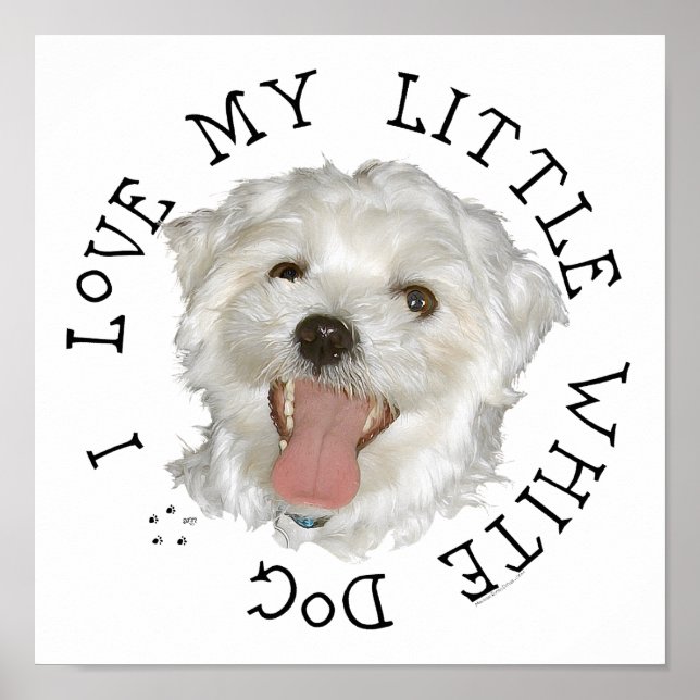 I Love My Little White Dog Maltese Poster (Front)