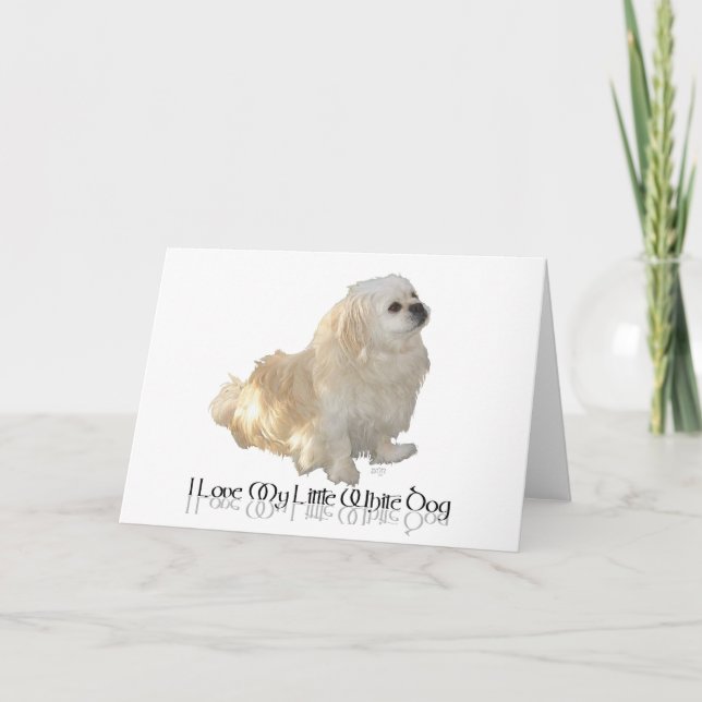 I Love My Little White Dog - Pekingese ! Card (Front)