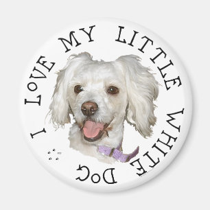 I Love My Little White Dog Poodle / Bichon Mix Magnet