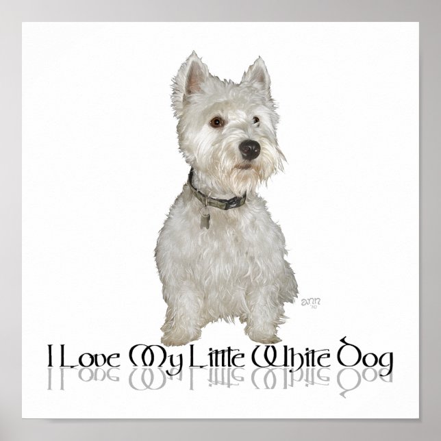 I Love My Little White Dog - Westie Poster (Front)
