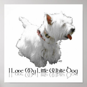 I Love My Little White Dog - Westie Poster