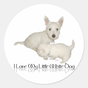 I Love My Little White Dog - Westie Puppies! Classic Round Sticker