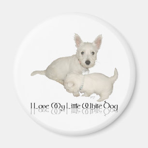 I Love My Little White Dog - Westie Puppies! Magnet