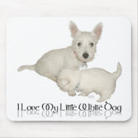 I Love My Little White Dog - Westie Puppies!