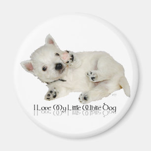 I Love My LIttle White Dog - Westie Puppy Magnet